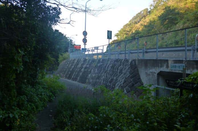 横横