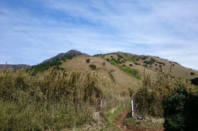 矢倉沢峠からの金時山