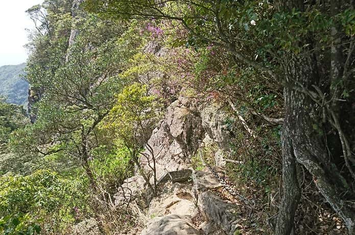 黒髪山山頂　迂回路