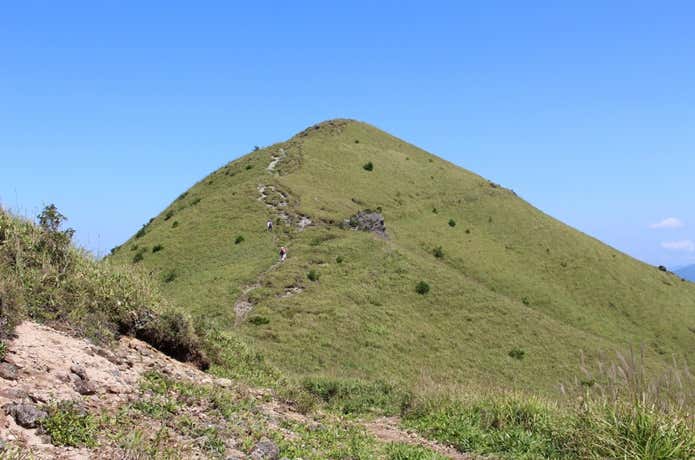 ミソコブシ山