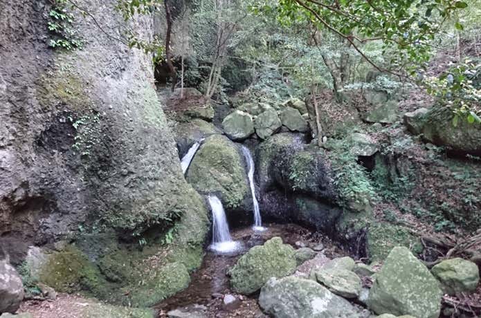 龍門の滝
