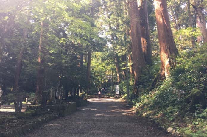 奥の院の山道
