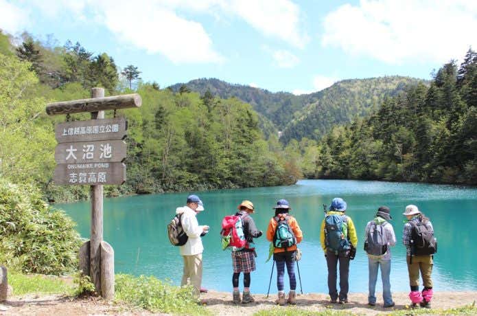 大沼池