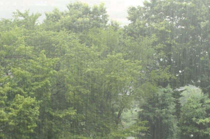 豪雨