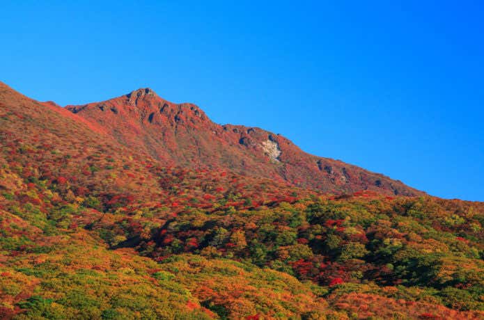 大船山の紅葉
