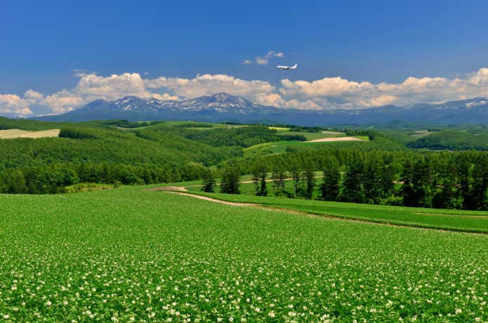 北海道　草原