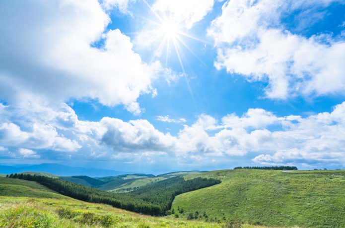 山