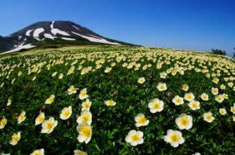 北海道　日帰り登山