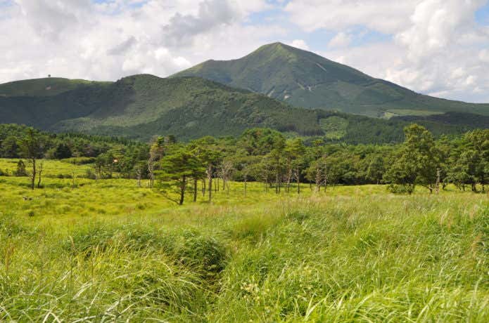 涌蓋山　草原