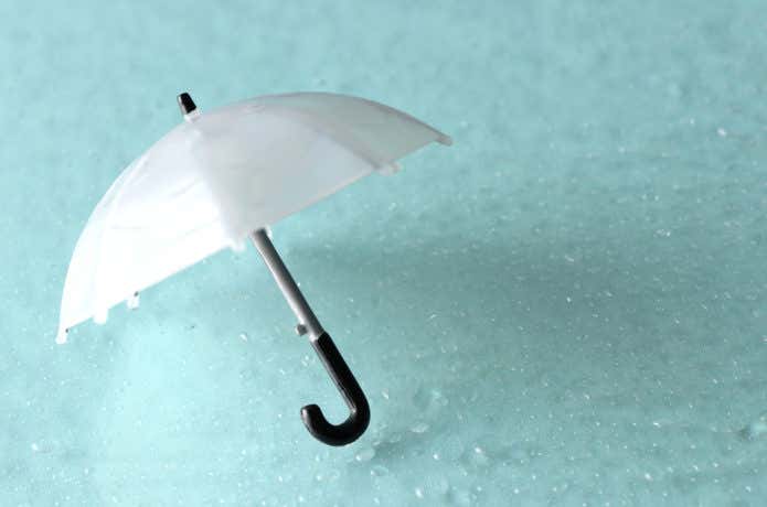 雨