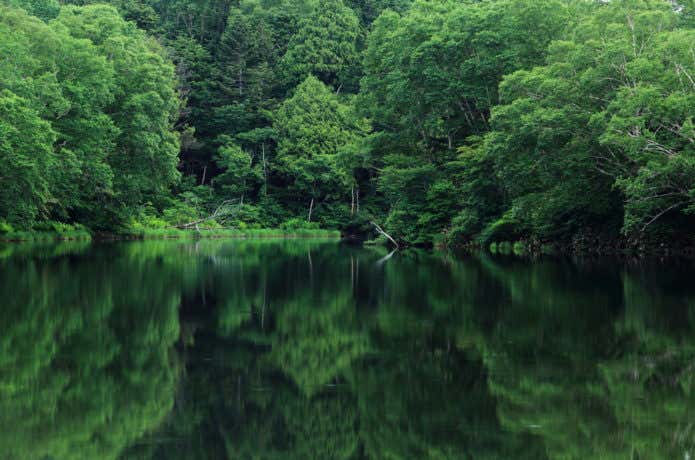 長池