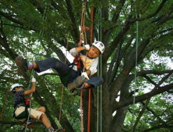 ツリークライミング