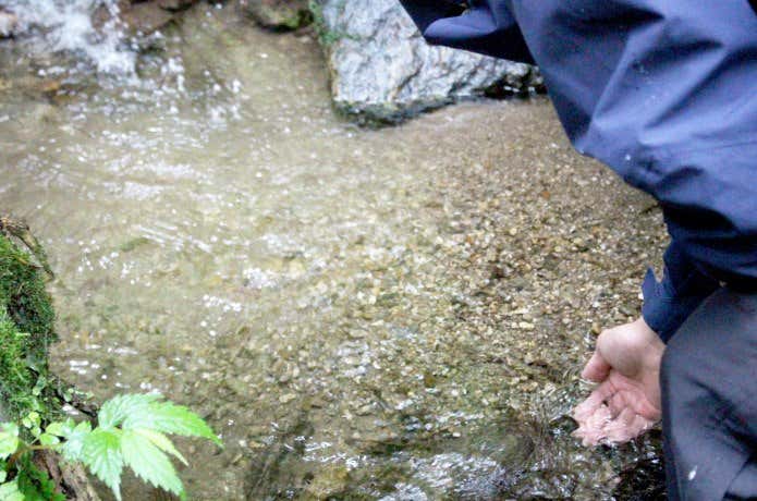 沢の水