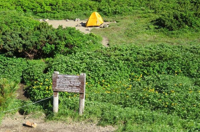 羅臼岳　三ツ峰キャンプ場