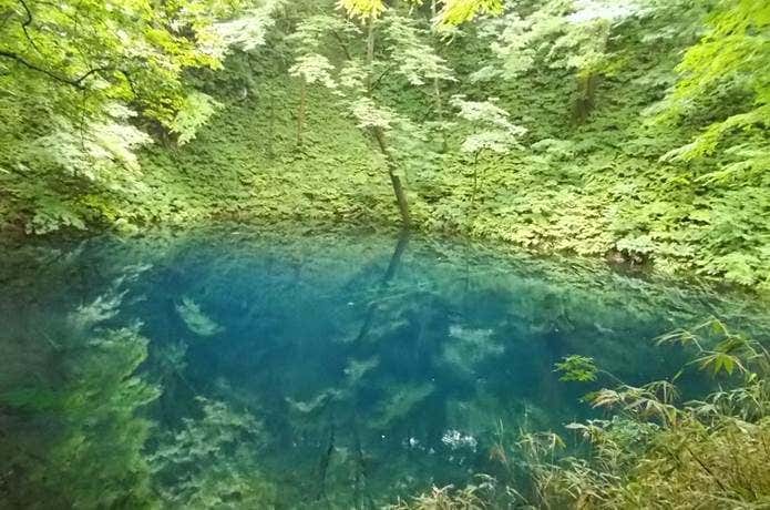 青池