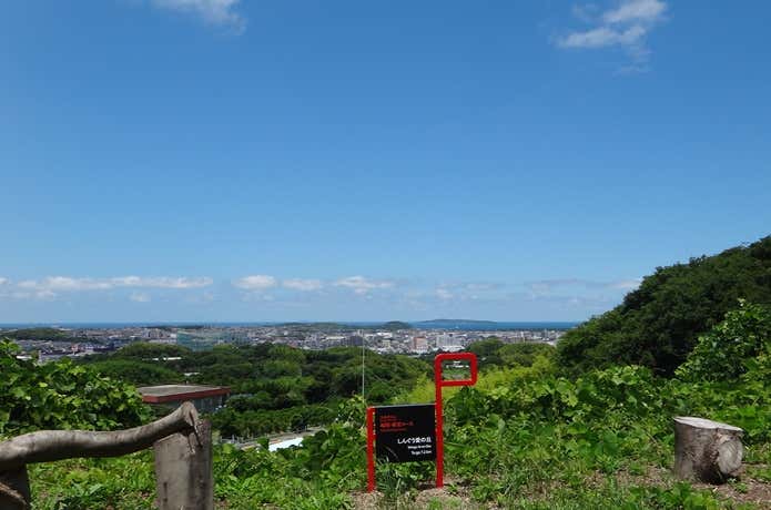 オルレ　景色