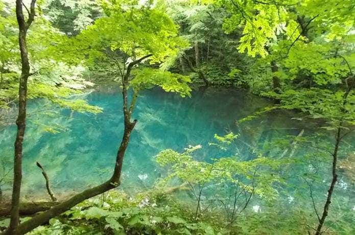 沸壺の池