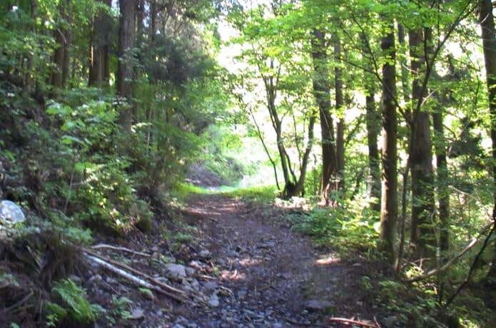 笠山　登山道