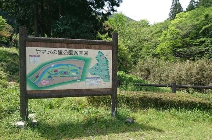 ヤマメの里公園駐車場