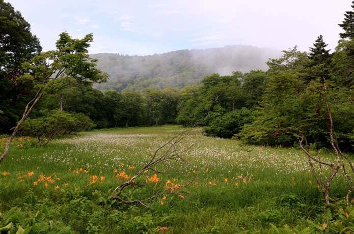 籾糠山の天生湿原