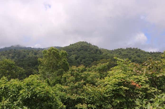 木平湿原方面からの籾糠山の山頂