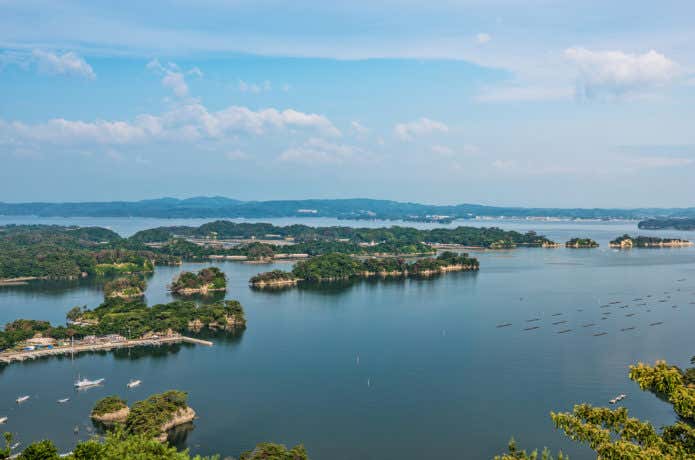 奥松島コース