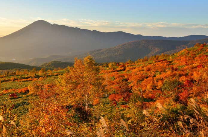 紅葉の八幡平から岩手山を望む