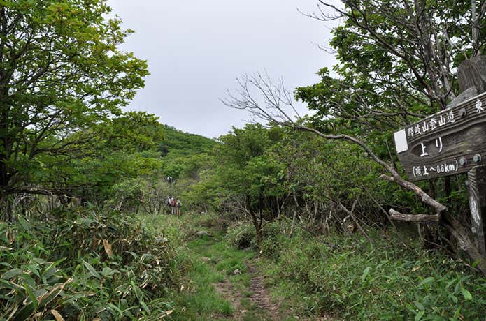 那岐山　山頂までのなだらかな上り道
