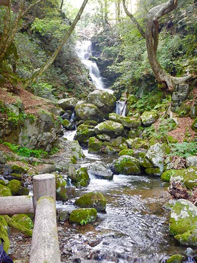 那岐山　蛇淵の滝