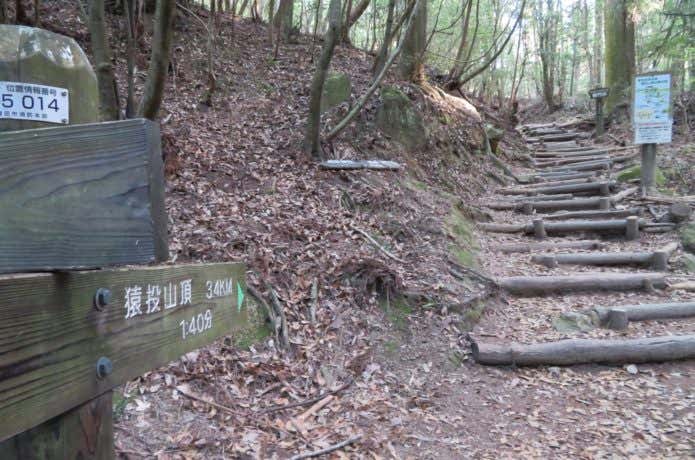 木の階段