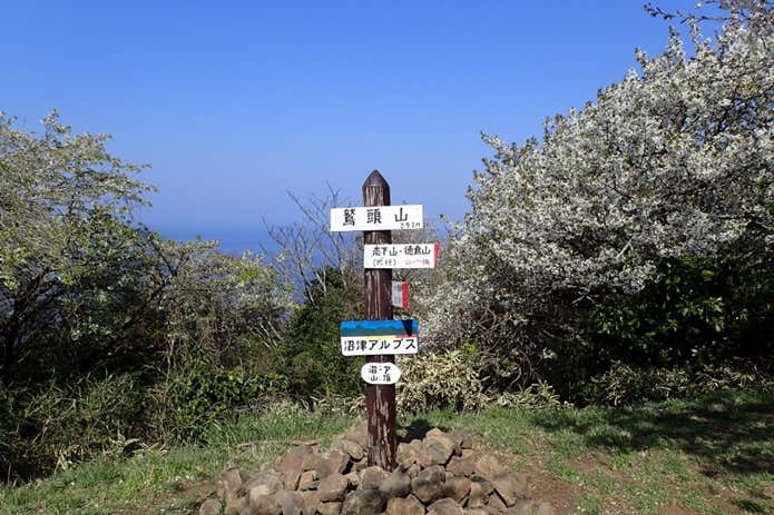 沼津アルプス　鷲頭山山頂