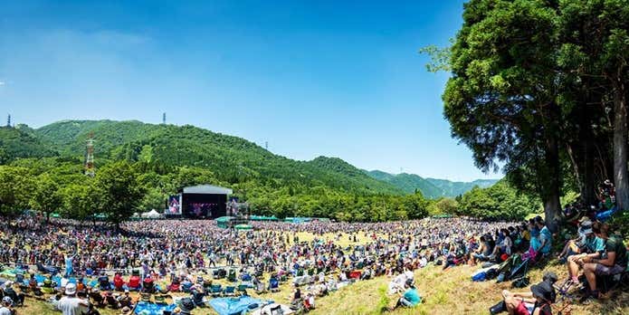 フェス