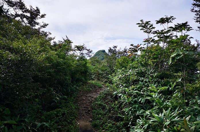 冠山登山道