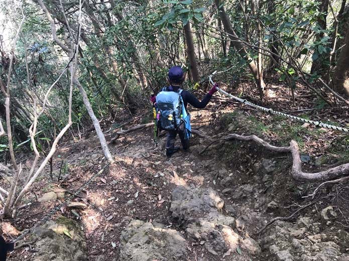 沼津アルプス　トラロープの張った登山道