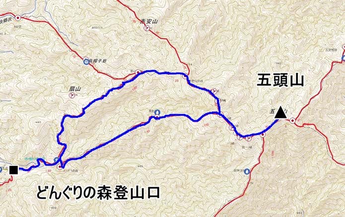 コースマップ
