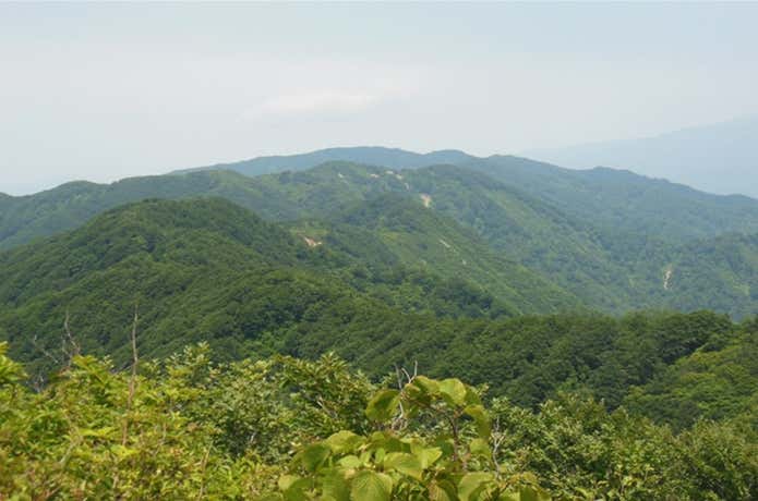 五頭山 山容
