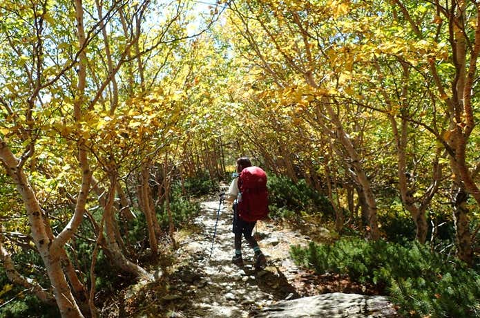 紅葉登山