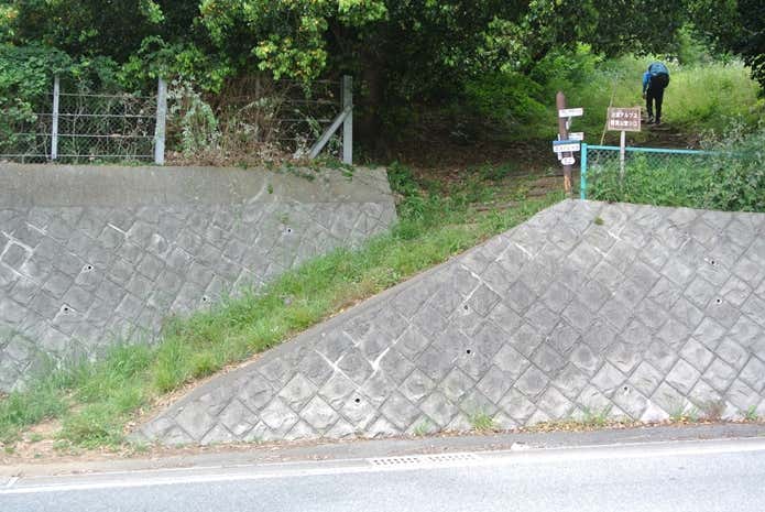 沼津アルプス　車道