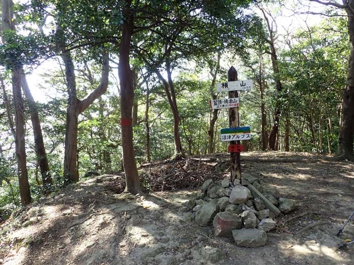 沼津アルプス　横山