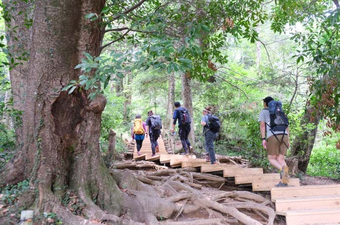 ザックを背負った登山者たち