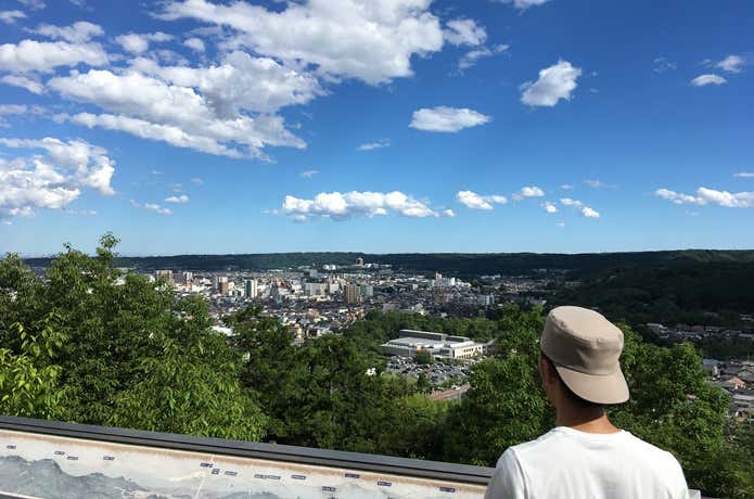 天覧山からの景色