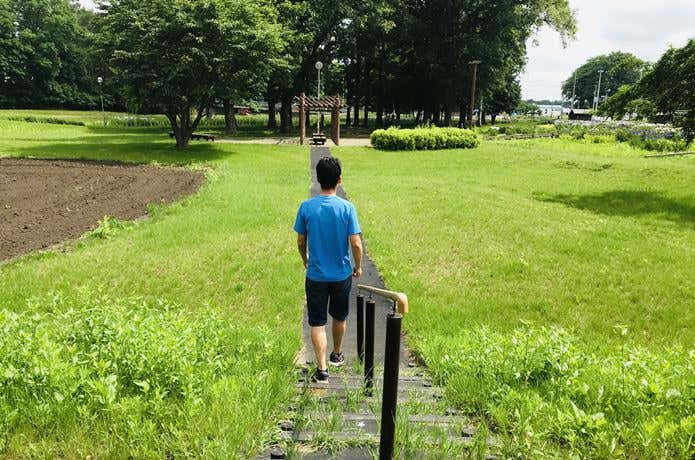 広大な公園で子機探し
