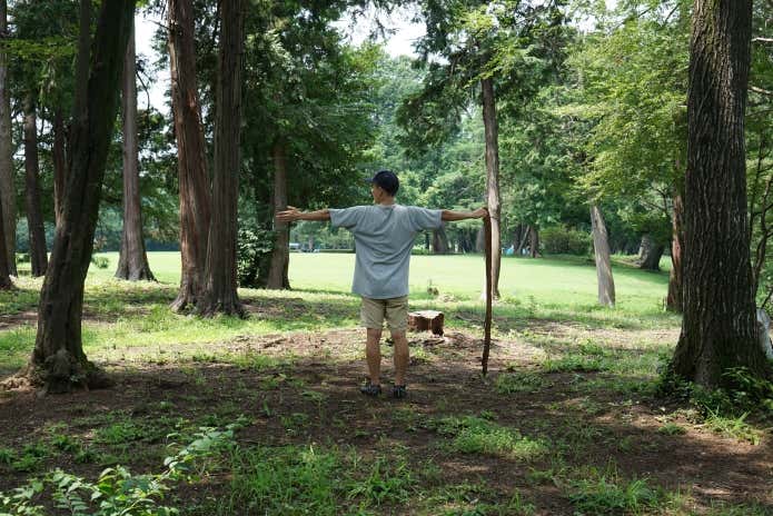 ハンモック　立ち木