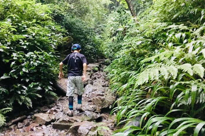 キッズショートパンツ　登山道