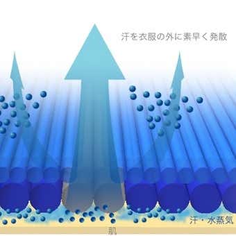 フィールドセンサー®