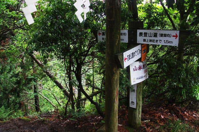 裏登山道