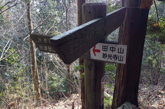 妙光寺山、田中山へ続く縦走路との分岐