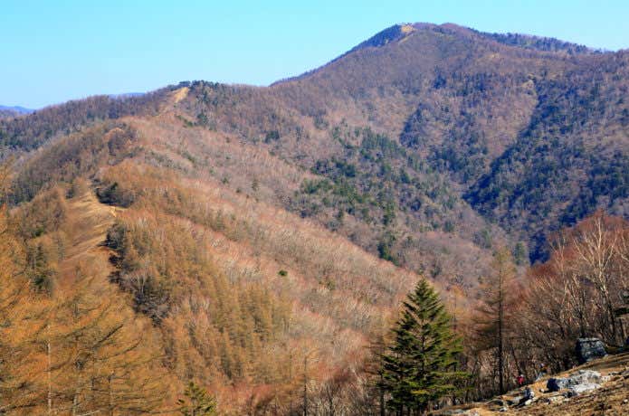 奥多摩 石尾根