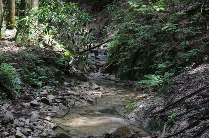 小川　猿投山