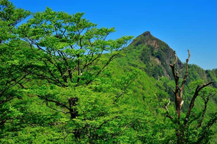 冠山